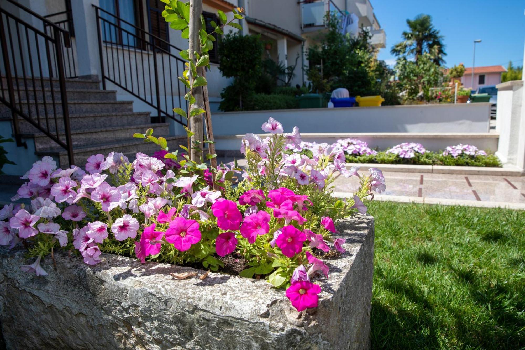 Studio Apartment Noah Rovinj Exterior photo
